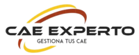 logo CAE Experto